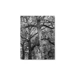 Guardians of the Garden - Metal Print