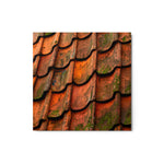 Patina of Time - Metal Print