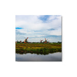 Wind Keepers Color - Metal Print