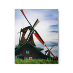 Windswept - Metal Print