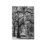 Guardians of the Garden - Metal Print
