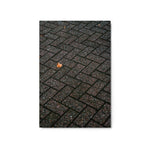 Echoes of Fall - Metal Prints