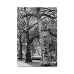 Guardians of the Garden - Metal Print