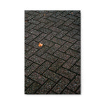 Echoes of Fall - Metal Prints
