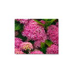 Roze Bloemen - Metal Print