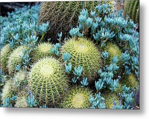 Blue Flowers- Metal Print