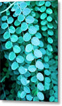 Teal Leaves - Metal Print