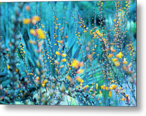 Turquoise Desert - Metal Print